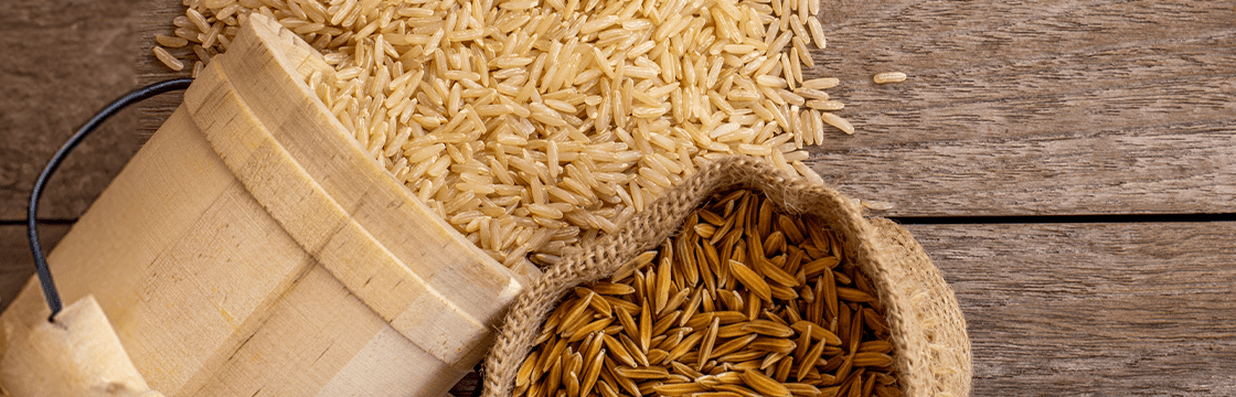 Rice Waste Management: From Byproducts to Value-added Products