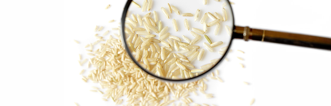 The Establishment of Basmati Export Zones Essential for Ensuring Quality Control