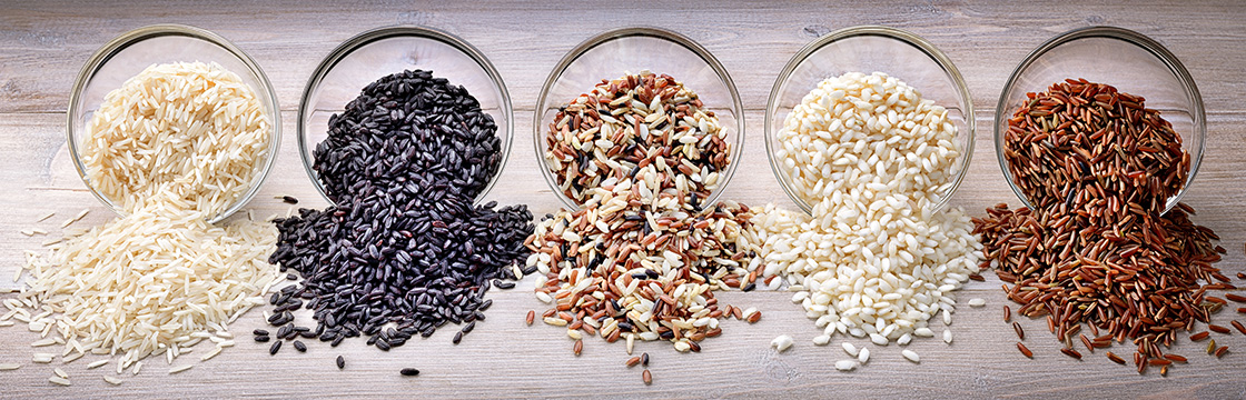 Exploring Various Rice Varieties in India and Tips for Selecting the Best Quality
