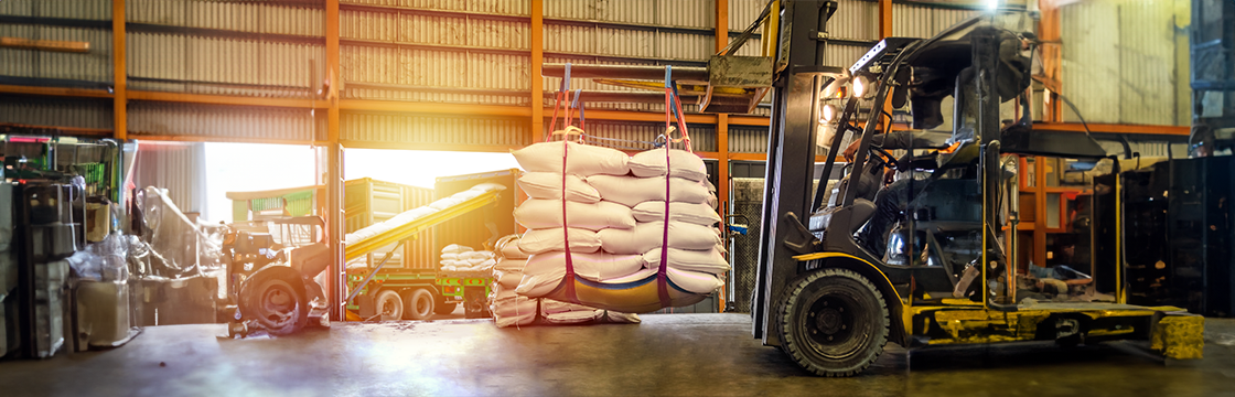 Challenges and Solutions in Rice Storage and Post-Harvest Management