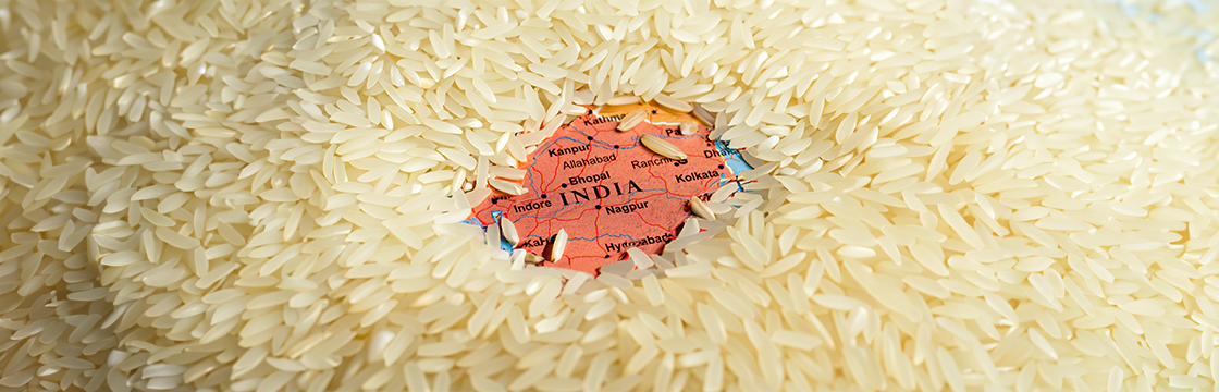 Basmati Rice Market Size, Segmentation, Top Manufacturers and Forecast to 2030