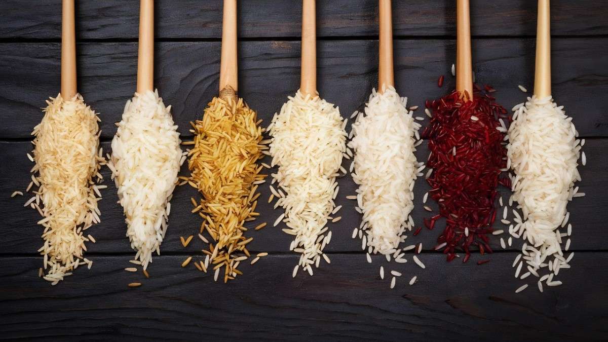 Basmati Rice Guide: Benefits, Types, Nutrition & Best Uses