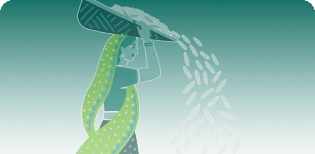 Perfecting the process — modern rice milling facility