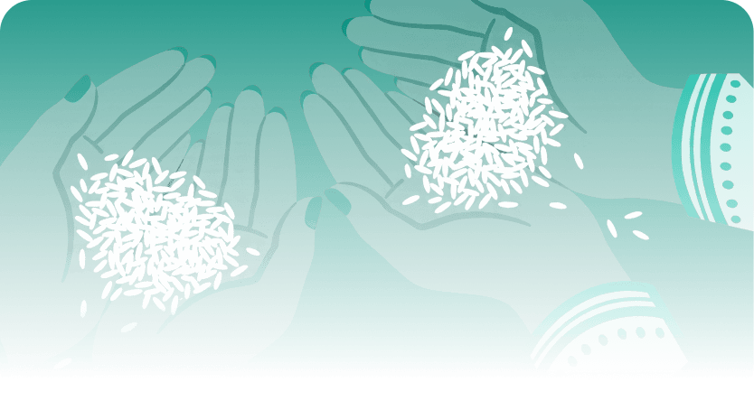 Understanding the grain — hands holding basmati rice