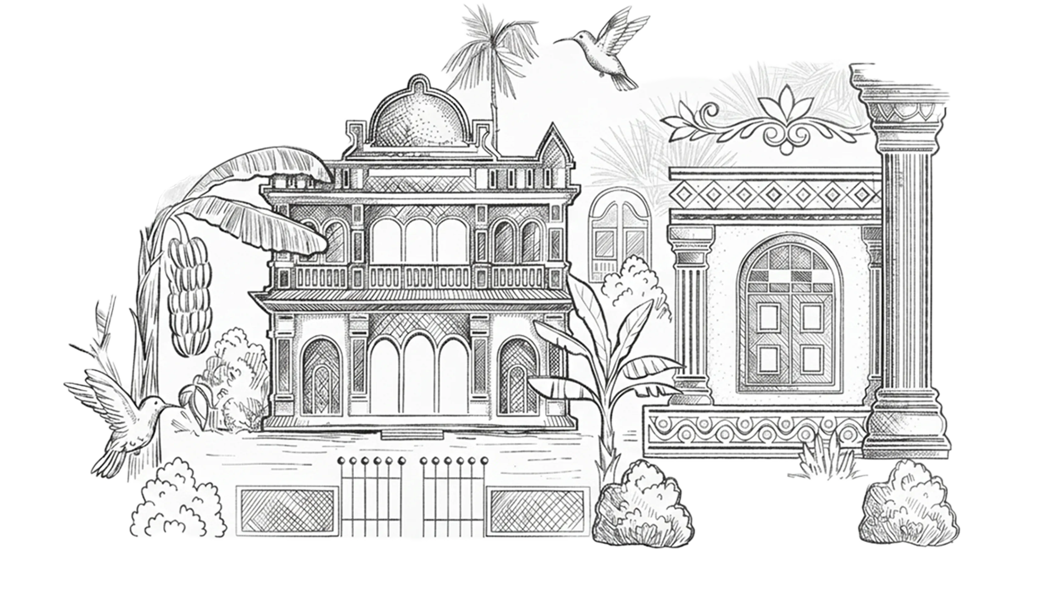 background illustration