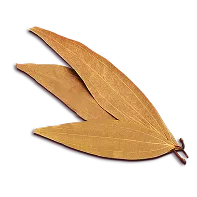 Bay Leaf
