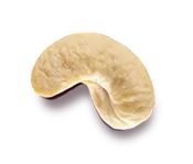 Cashew