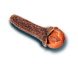 Clove
